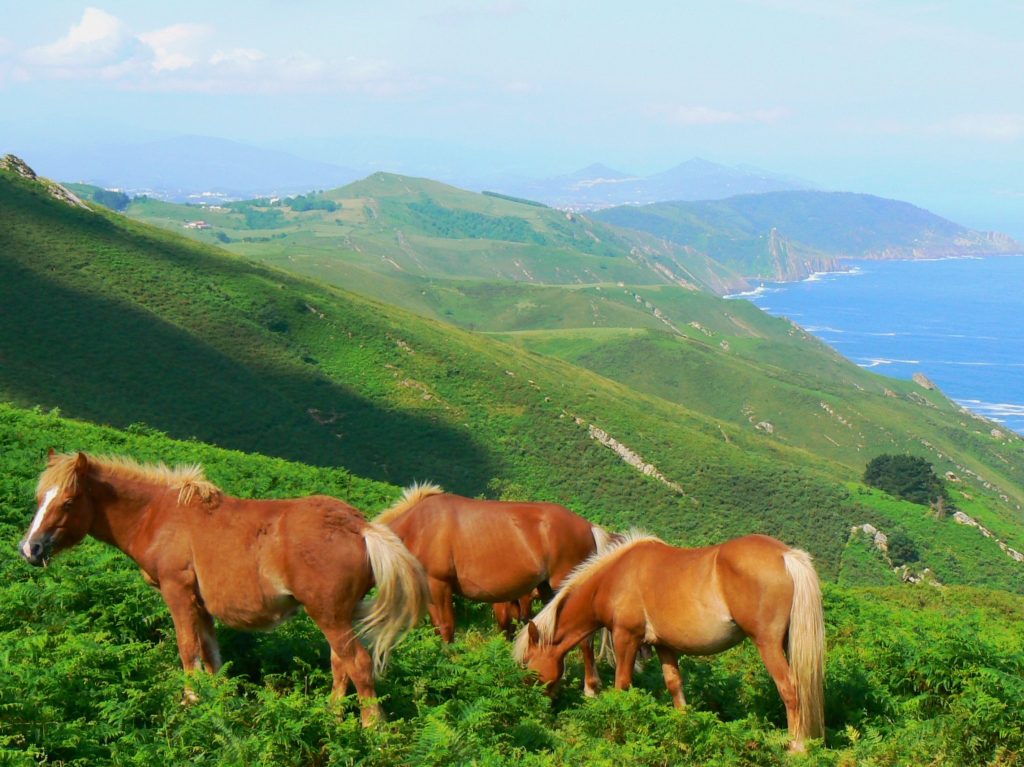Una escapada rural en Gipuzkoa: naturaleza, costa y San Sebastián en un mismo viaje